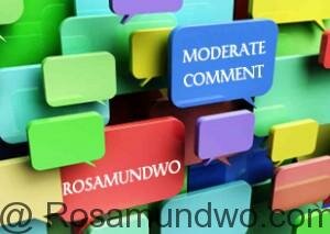 The importance of moderating your blog comments Blogger