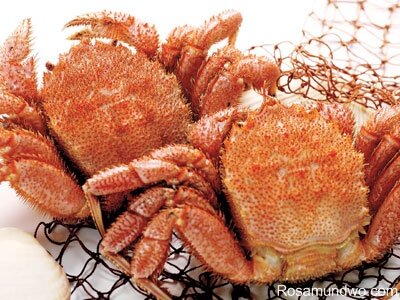 crab
