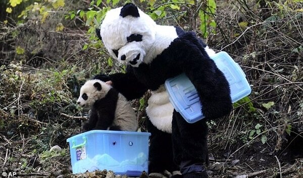Panda3