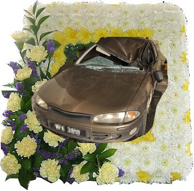 RIPAlvissKongCar