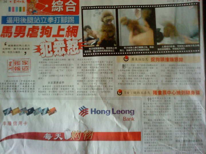 Newspaper