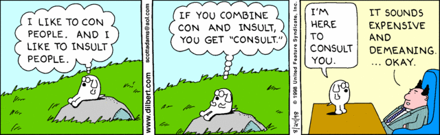 consultant