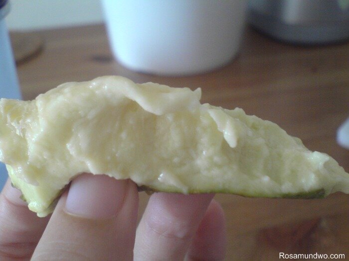Bread fruit flesh