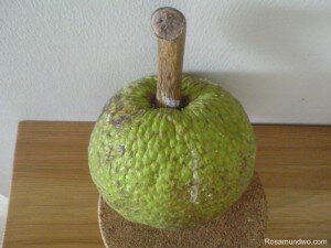 Buah Sukun