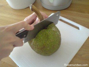 Sukun Fruit