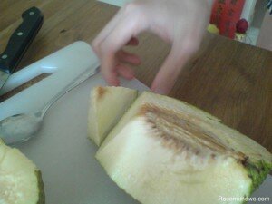 Sukun buah 2
