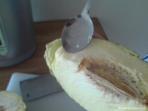 Sukun fruit 2