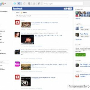 How to integrate Facebook and Twitter into Google Plus Technology