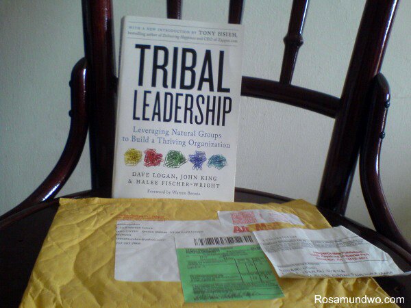 Tribal Leadership Book Review 1