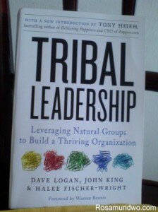 Tribal Leadership Book Review Review