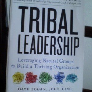 Tribal Leadership Book Review Review