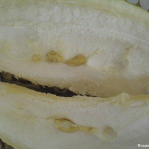 Big durian with single seed Food