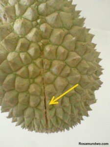 How to open durian (with video) Tips