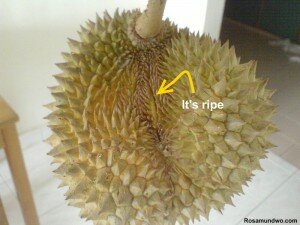 Ripe Durian 1
