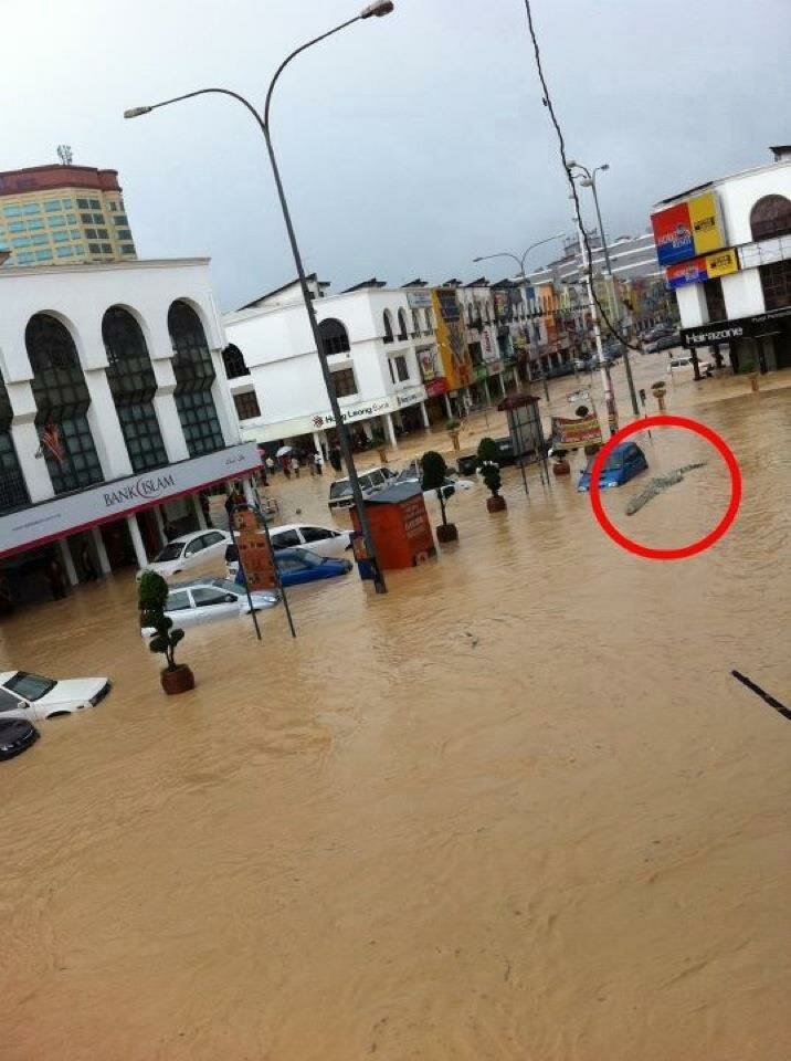 Kajang Flood 20113