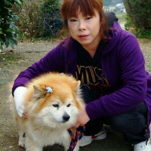 The World Oldest Dog Die in Japan Misc