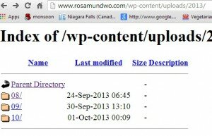 WordPress how to hide wp-content using htaccess Tips