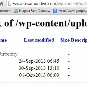 WordPress how to hide wp-content using htaccess Tips
