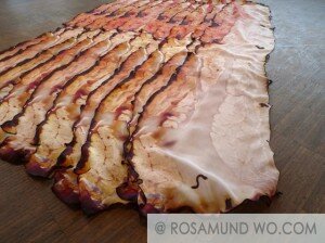 Bacon Food Scarf Food