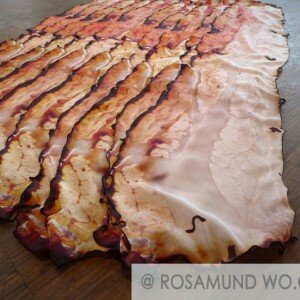 Bacon Food Scarf Food
